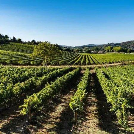 La Maison Du Figuier Cournanel