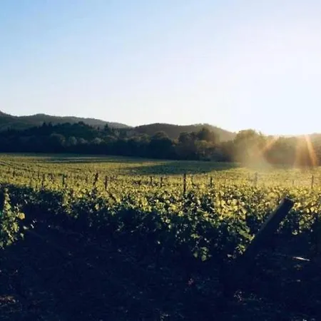 La Maison Du Figuier 펜션 Cournanel